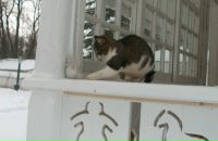 Семён Чегетов фотография #9 (источник - https://vk.com/id1175716)