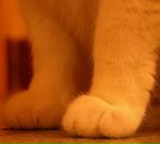 Фотография Стеблева Валентина