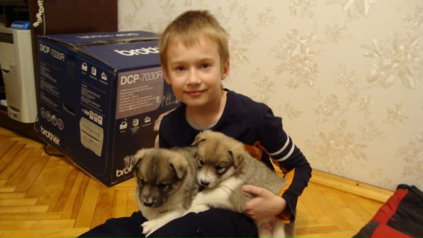 №19, Семён Сватковский №19, Семён Сватковский