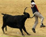 Івасик Палащук фотография #11 (источник - https://vk.com/id8121533)