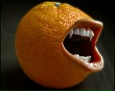 Фотография Курченко Димы