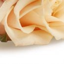 Сірожа Стицюк фотография #40 (источник - https://vk.com/id133380888)