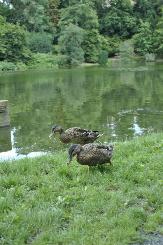 Lenka Bashirova фотография #36