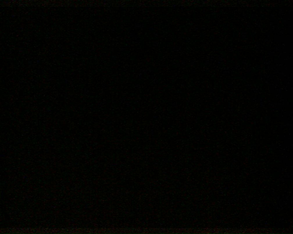 Андрей Рогалевич фотография #22