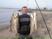 Фотография Морозовой Алены