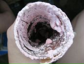 Фотография Слюсар Анны