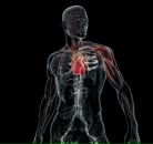 Фотография Шереметьева Александра