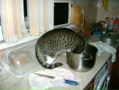 Фотография Антиповой Полины