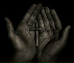 Фотография Рысь Алексея