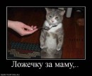 N[i]ki Baby фотография #25 (источник - https://vk.com/id66662499)