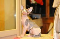 Ольга Федина фотография #24 (источник - https://vk.com/id1329552)