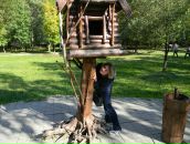 Фотография Волковой Елены