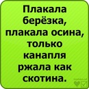 Міша Ребар фотография #6 (источник - https://vk.com/id138766288)