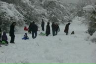 özcan Doğan фотография #46 (источник - https://vk.com/id86152813)