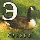 Фотография Пархоменко Алексея