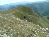 Фотография Терентьевой Александры