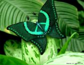 Фотография Шевелевой Марины