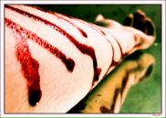 Александр Зинаков фотография #50 (источник - https://vk.com/id2770023)