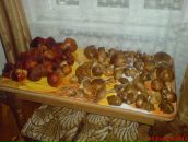 Сергій Матійців фотография #37 (источник - https://vk.com/id95623101)