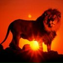 Лев Клищенко фотография #8 (источник - https://vk.com/id7940330)