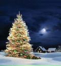 Фотография Гажевой Юлии