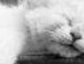 Лєра Щербина фотография #11 (источник - https://vk.com/id68521705)