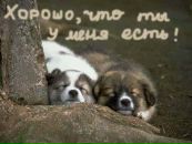 Наталі Плахотнік фотография #15 (источник - https://vk.com/id120307276)
