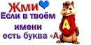 Андрій Шевчук фотография #9 (источник - https://vk.com/id155240163)