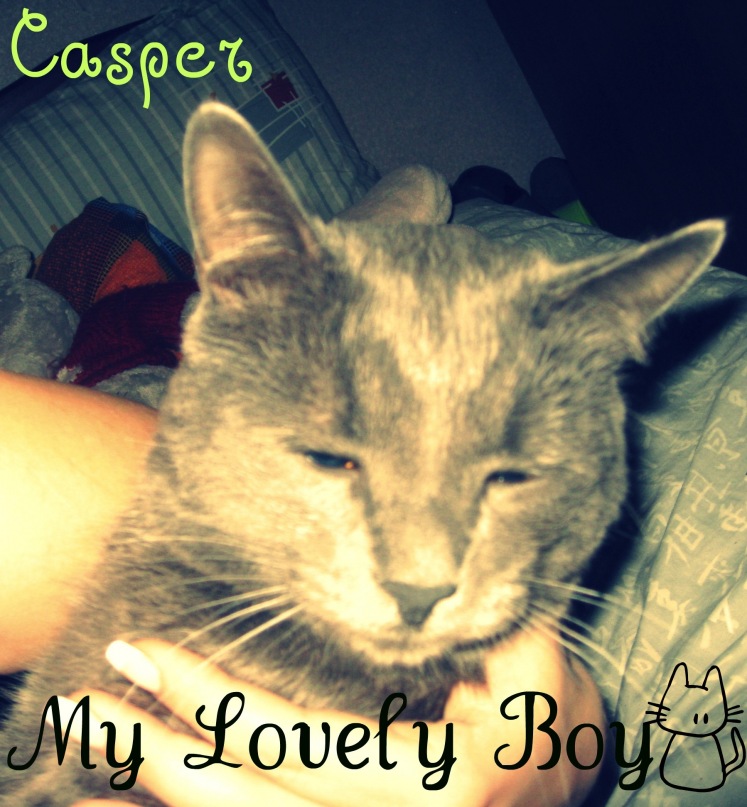 Елена Гилберт фотография #19