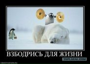 Угарный Мальчишка фотография #35 (источник - https://vk.com/id81366889)