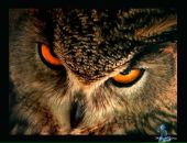 Фотография Рыкова Володи