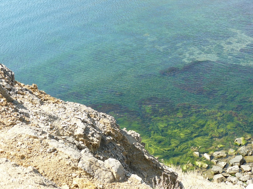 Дмитрий Ширяев фотография #47