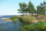 Вадзім Урублеускі фотография #32 (источник - https://vk.com/id14968982)