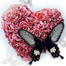 Раїса Модер фотография #23 (источник - https://vk.com/id15764658)