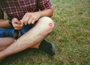 Фотография Дерево Симао