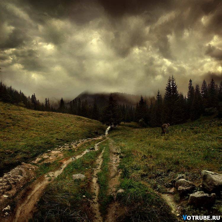 Семён Ревякин фотография #22