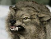 Костя Сибиряков фотография #8 (источник - https://vk.com/id159674244)