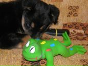 Фотография Никитина Андрюхи