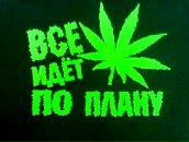 Сергій Літвінчук фотография #42 (источник - https://vk.com/id79399235)