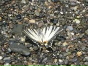 Фотография Гавришовой Юлии