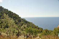 Саша Sspector фотография #49 (источник - https://vk.com/id196559)