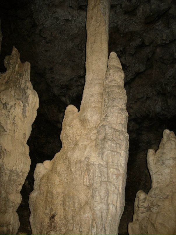 Александр Медведев фотография #34