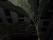 Марія Ганущак фотография #49 (источник - https://vk.com/id37388041)