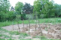 Андрій Черхавий фотография #5 (источник - https://vk.com/id7295328)