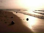 Фотография Максимовой Ирины