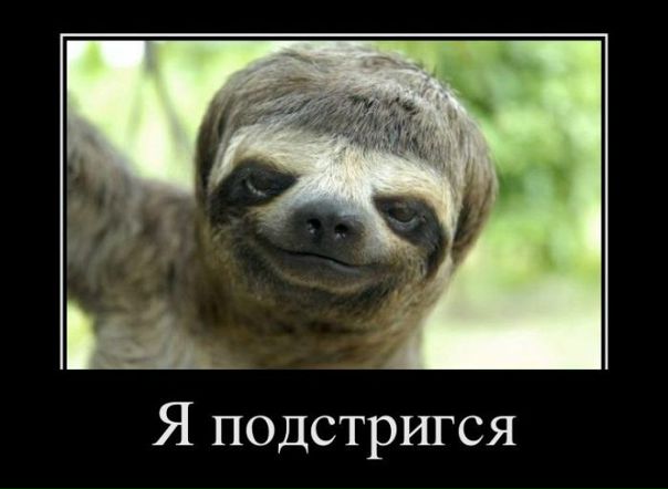 Коха. :) фото №24