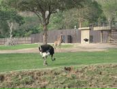 Клевый Парень фотография #47 (источник - https://vk.com/id391001)