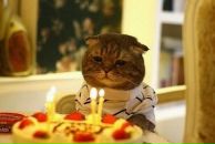 Фотография Бересневой Лизы