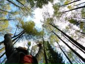 Фотография Пахалуевой Светланы