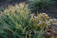 Михаил Яковлев фотография #20 (источник - https://vk.com/id2403530)